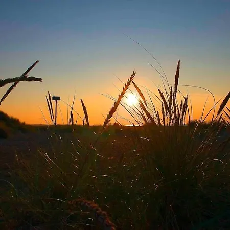 度假居 Sommerhus, *