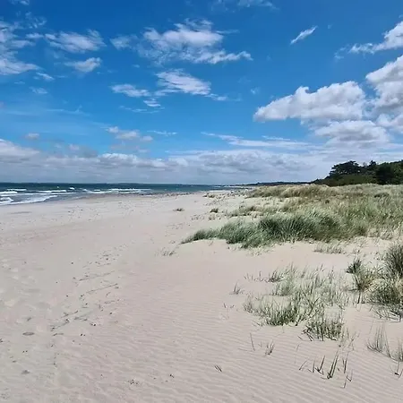 度假居 Sommerhus, *